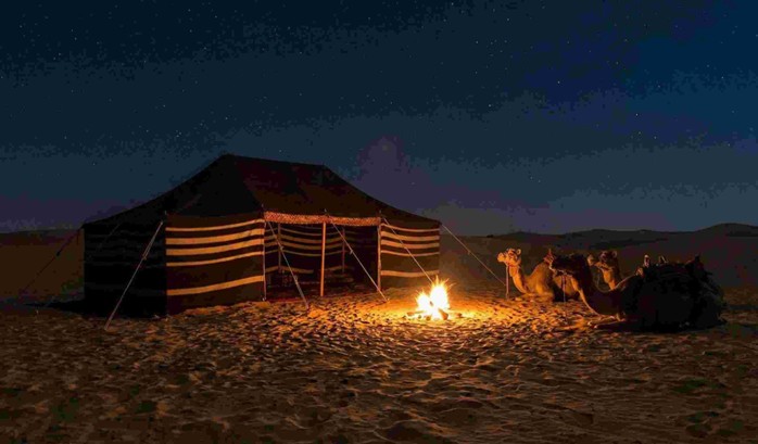 Camel Riding Experience Saudi Arabia