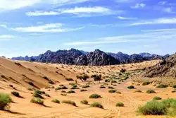 Hidden Desert Gems Near Makkah for Safari Lovers