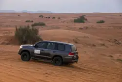 Top Reasons to Choose an Evening Desert Safari in Jeddah