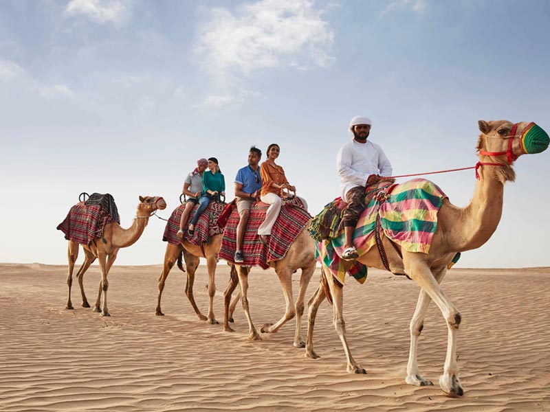 Group of tourists riding a caravan of camels led by a guide across the scenic sand dunes of the Jeddah Desert.