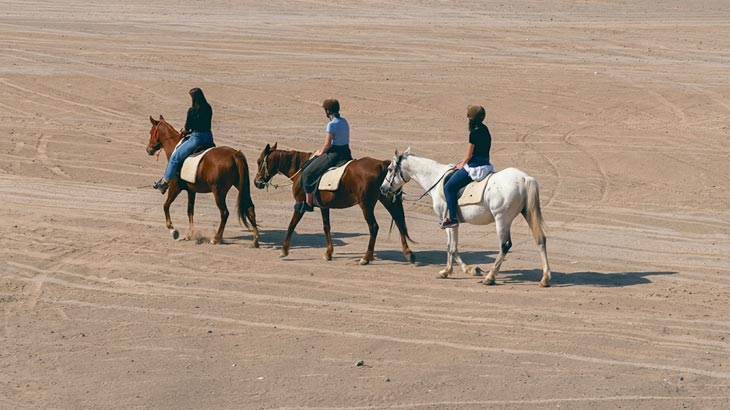 Group of riders on horseback trekking across the expansive sandy landscape of the Jeddah desert.